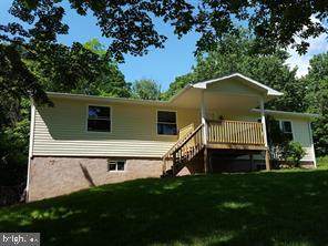 10039 Piney Mt Road - Photo 1