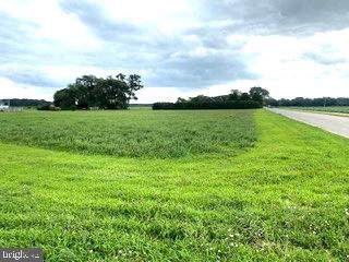 Starkey Lane - Photo 1