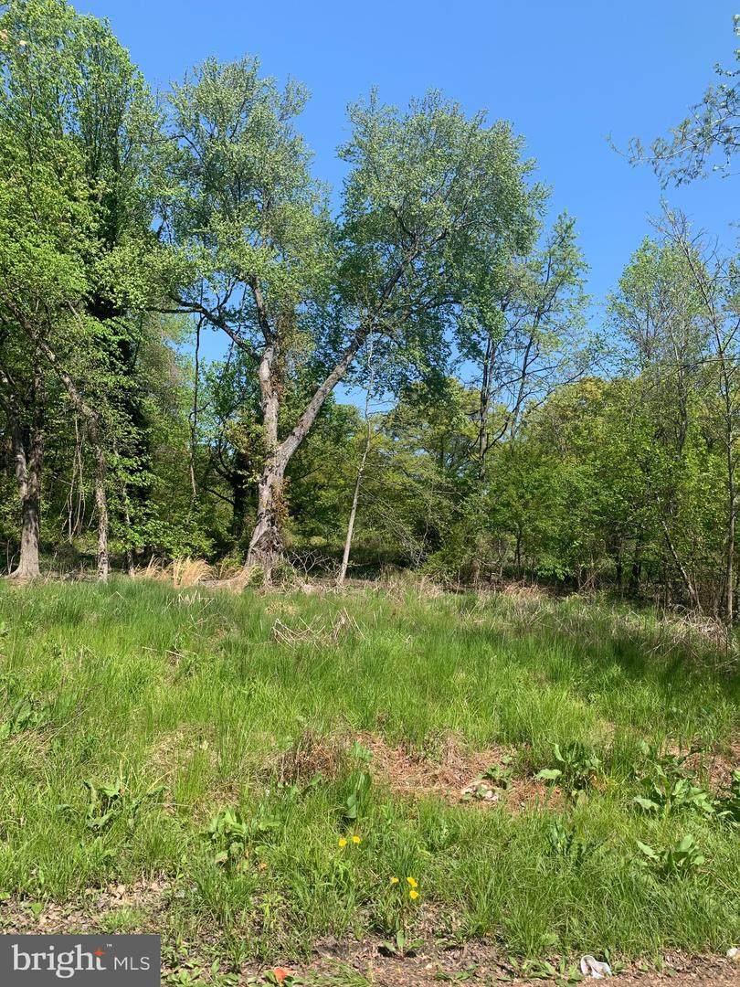8135 Heron Lane - Photo 1