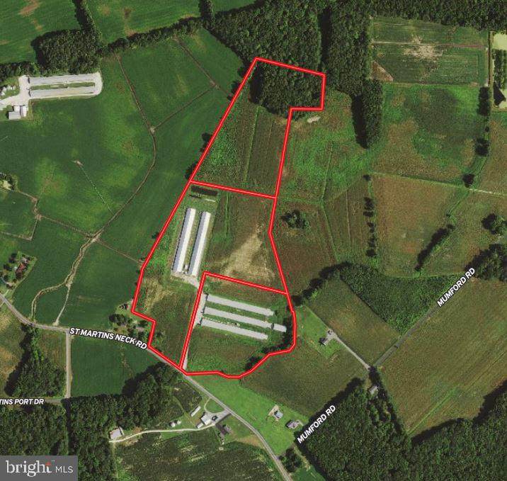 10955 Saint Martins Neck Road - Photo 1