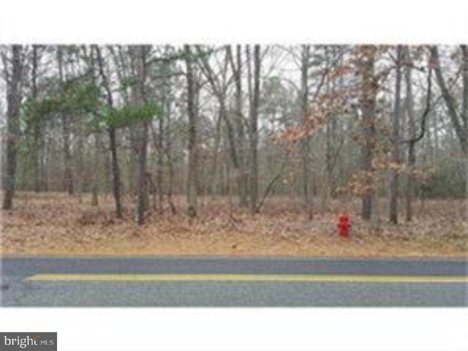 264 Atsion Road - Photo 1