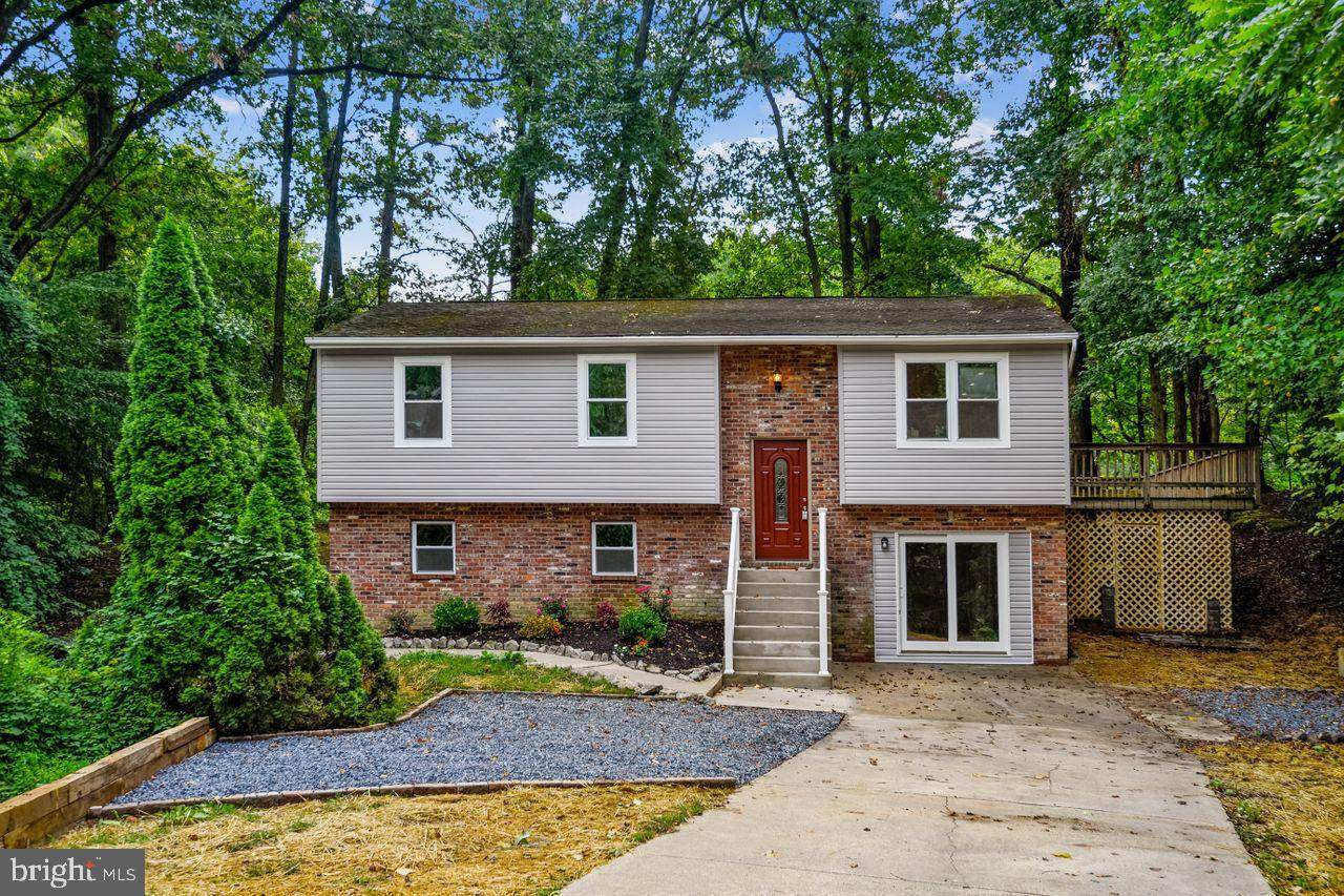 41 Fox Run Way - Photo 1
