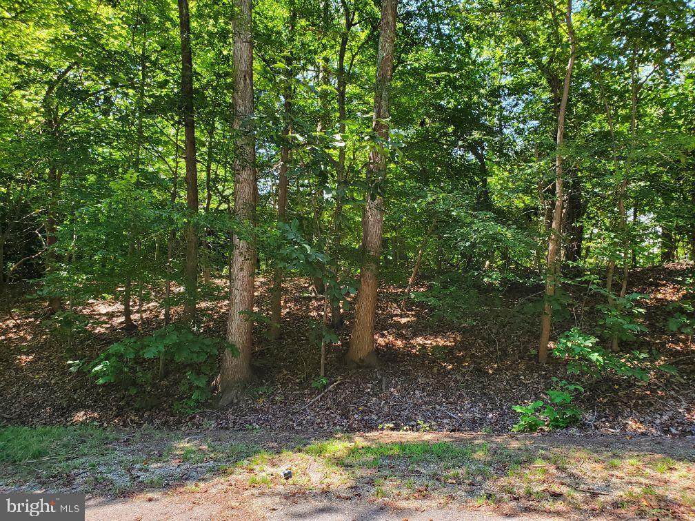 LOT #97 Angler Lane - Photo 1