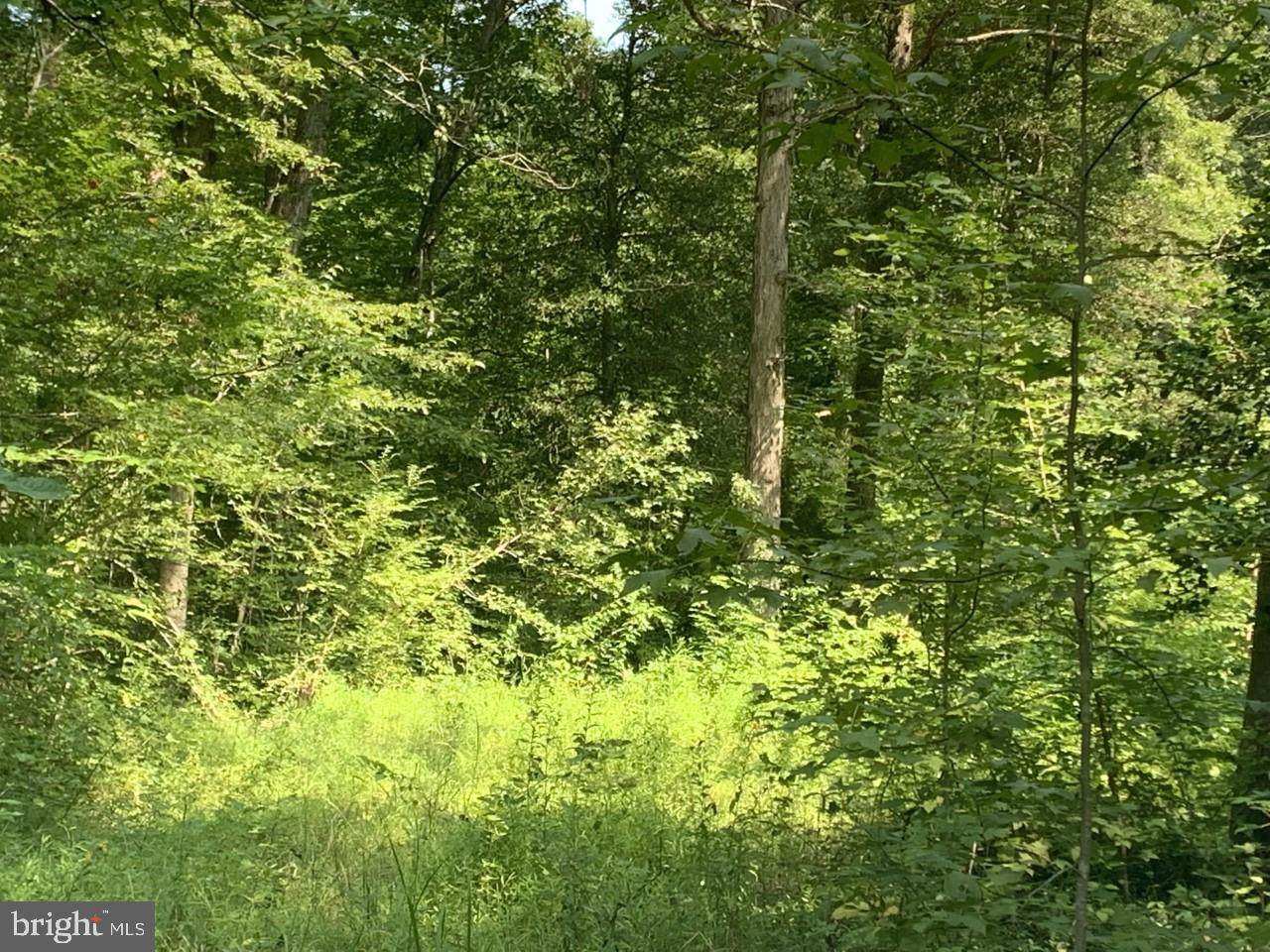 8212 Sleepy Hollow Lane - Photo 1