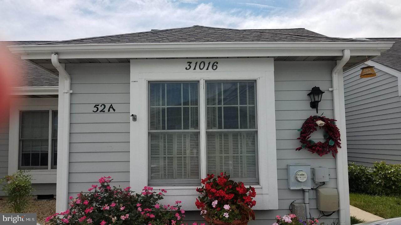 31016 Crepe Myrtle Drive - Photo 1