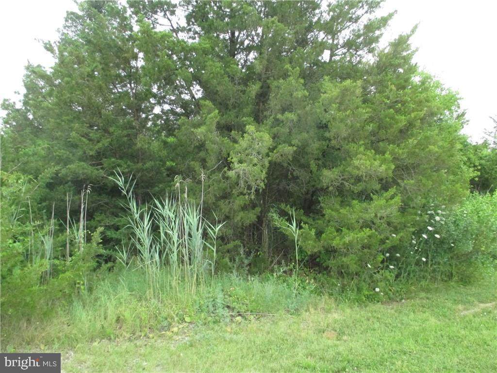 100 Sandpiper Drive - Photo 1