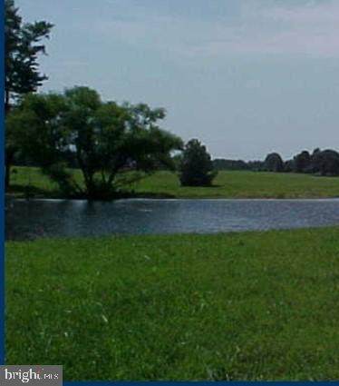 525 Black Diamond Road - Photo 1