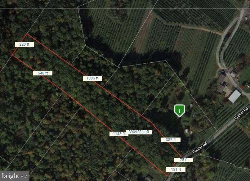 0 Poplar Road - Photo 1