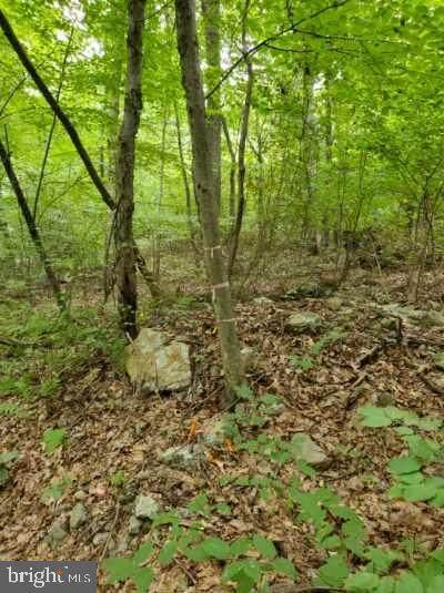 0 Bison Ridge Lane - Photo 1