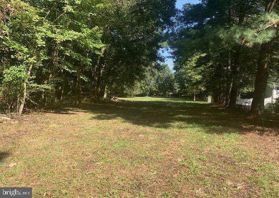 0 Woods Road - Photo 1
