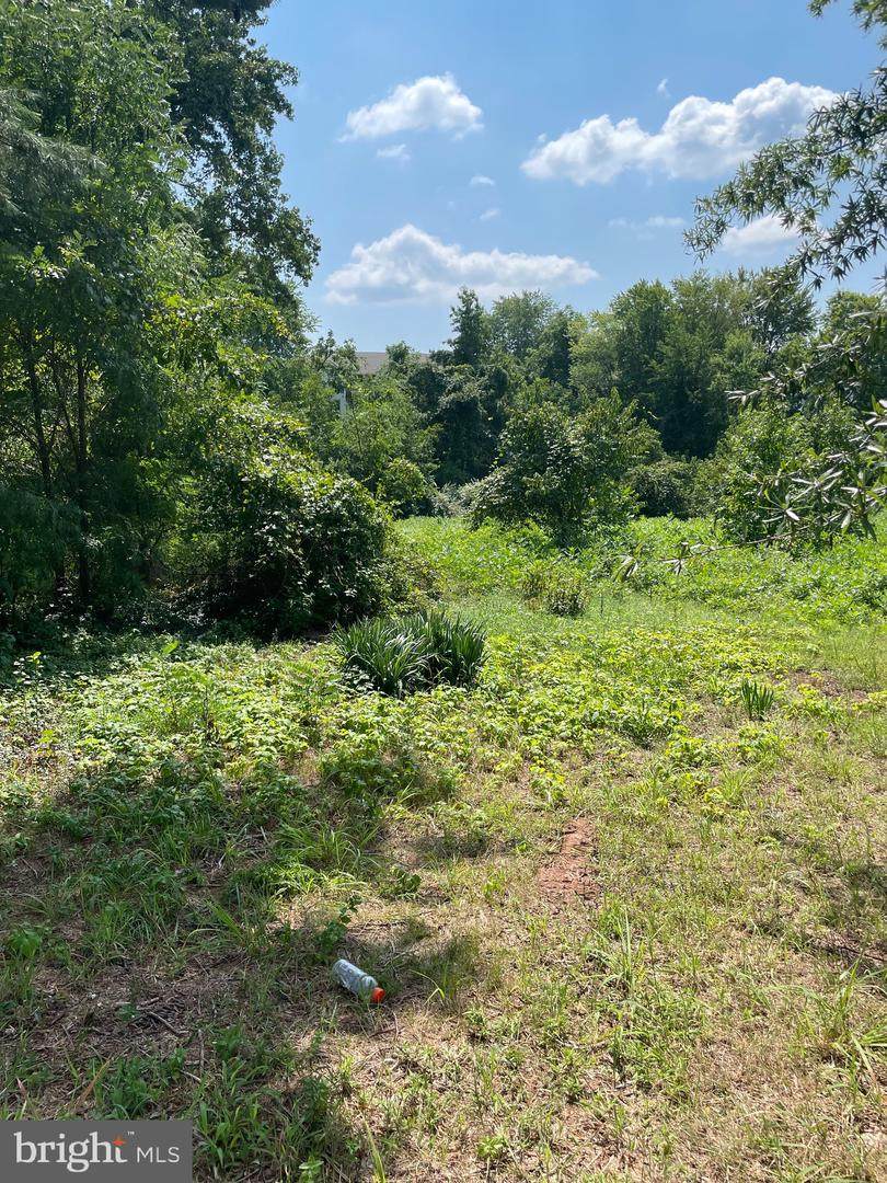 8431 Quarry Road - Photo 1