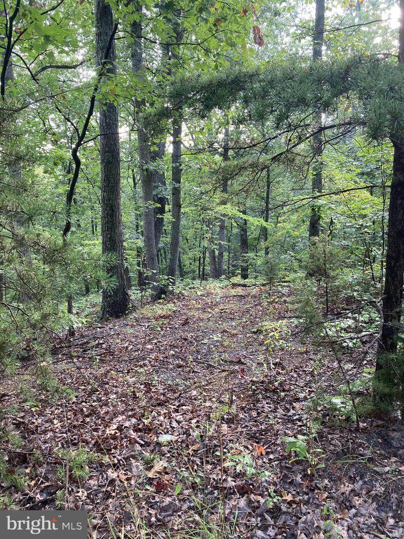 Lot 45 Hummingbird Lane - Photo 1