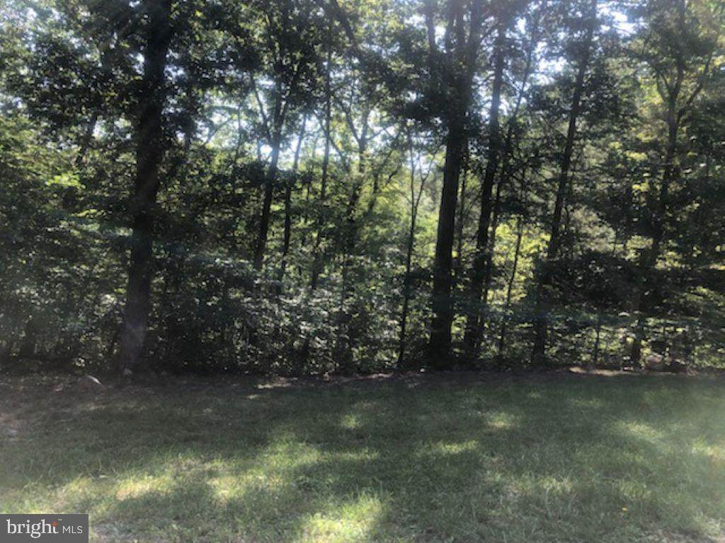 Little Place - Photo 1