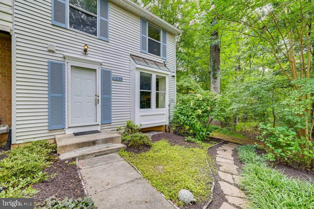 6039 Wild Ginger Court - Photo 1