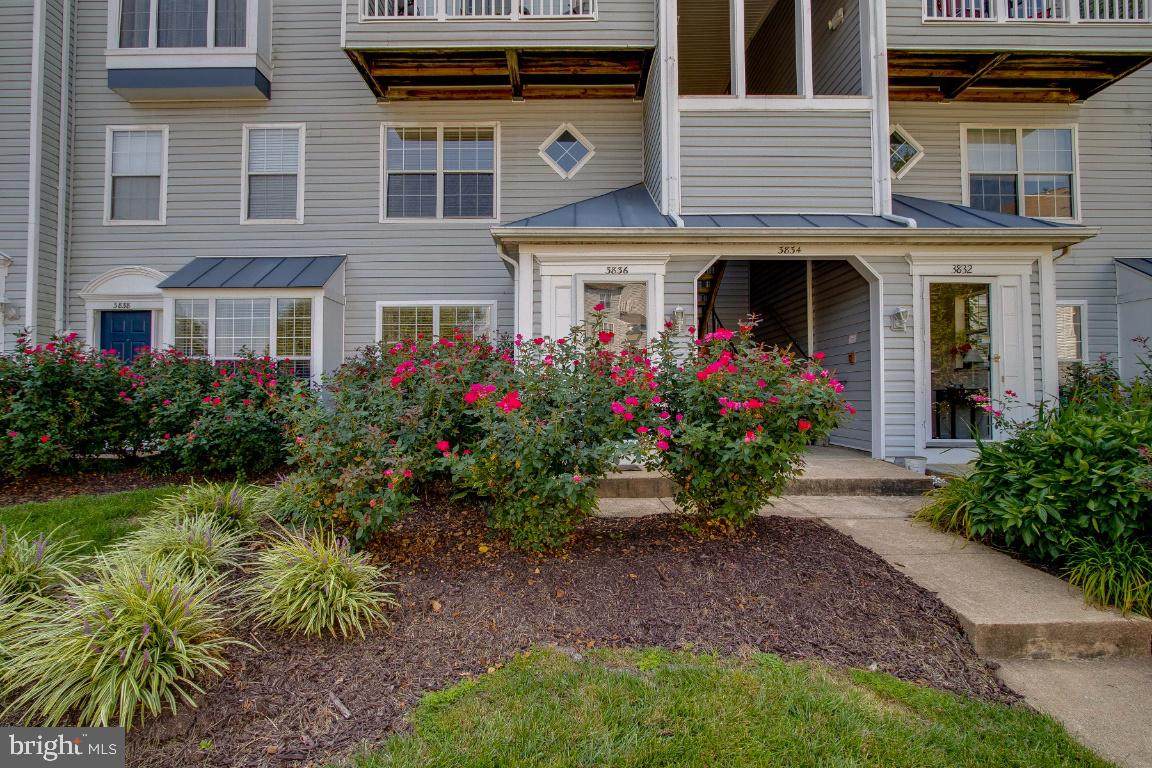 3836 Clore Place - Photo 1