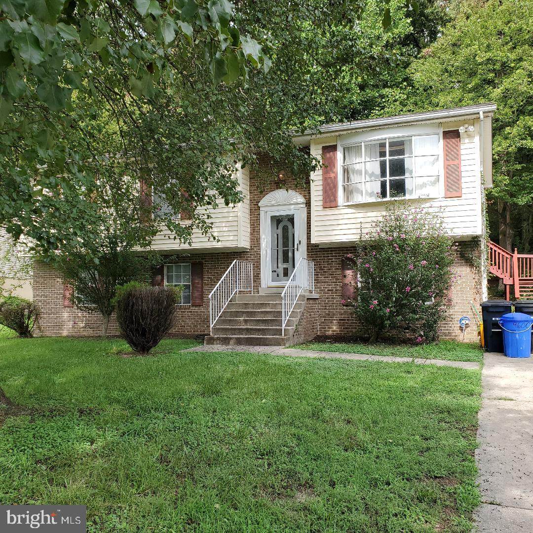 9600 Dalmatia Drive - Photo 1