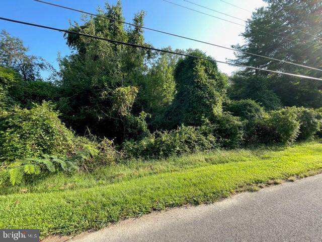 6464 Windham Avenue - Photo 1