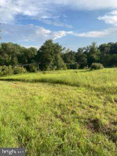 0 Kurtz Mill Road - Photo 1