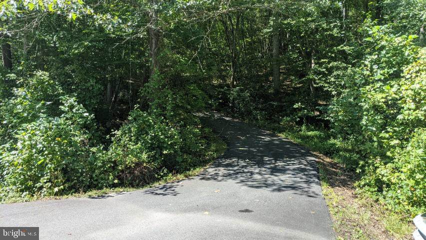 Weaver Hollow Rd - Photo 1