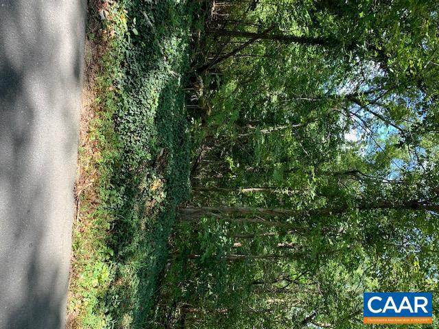 556 Black Cat Rd - Photo 1