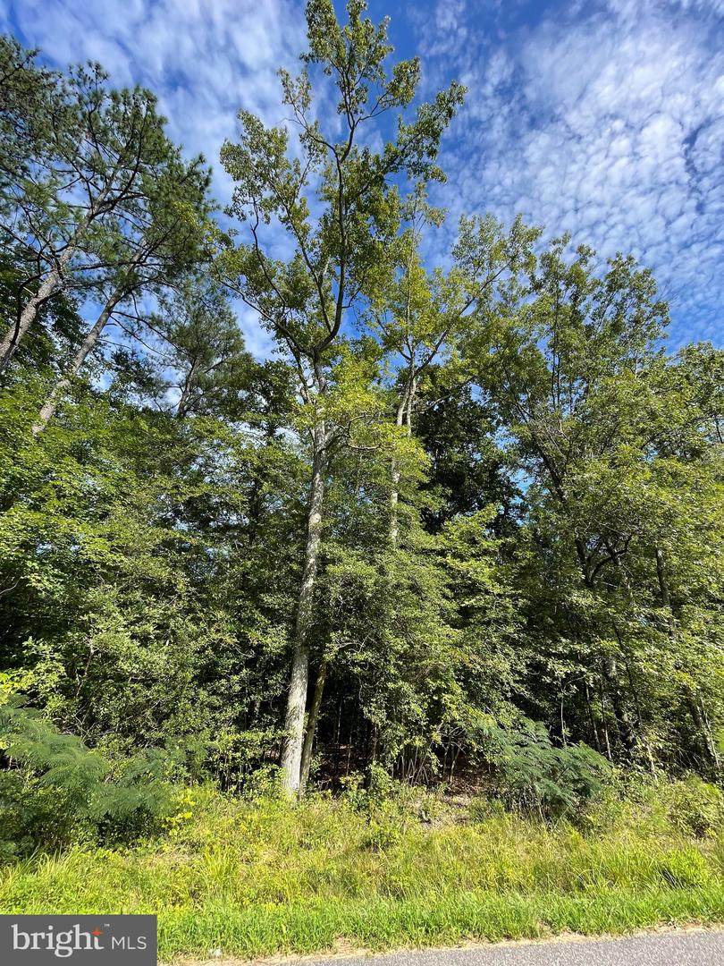 55 106C Vault Field Road - Photo 1