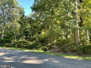 105 Freedom Road - Photo 1