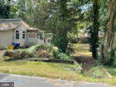 17 Begonia Street - Photo 1