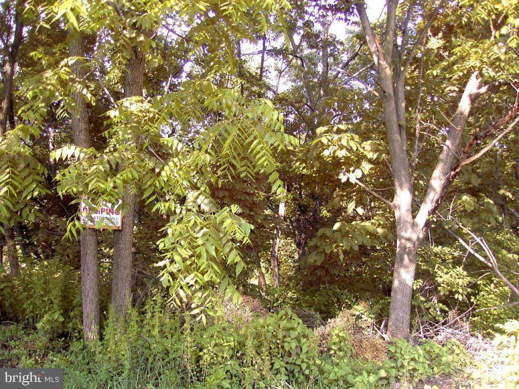 Westside Drive - Photo 1
