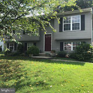 11015 Pompey Drive - Photo 1