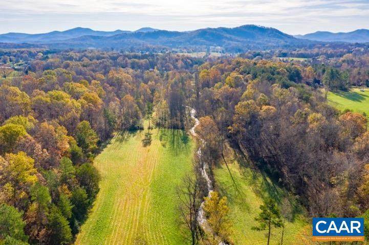 459 (D) Afton Mountain Rd - Photo 1