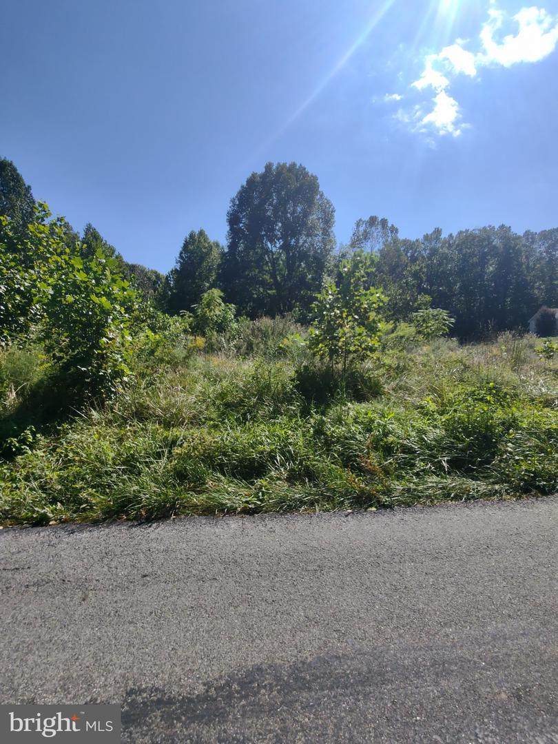 26030 Belmont Road - Photo 1
