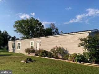 1 Bethel - Photo 1