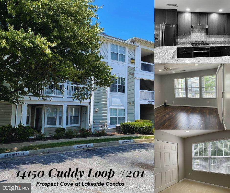 14150 Cuddy Loop - Photo 1