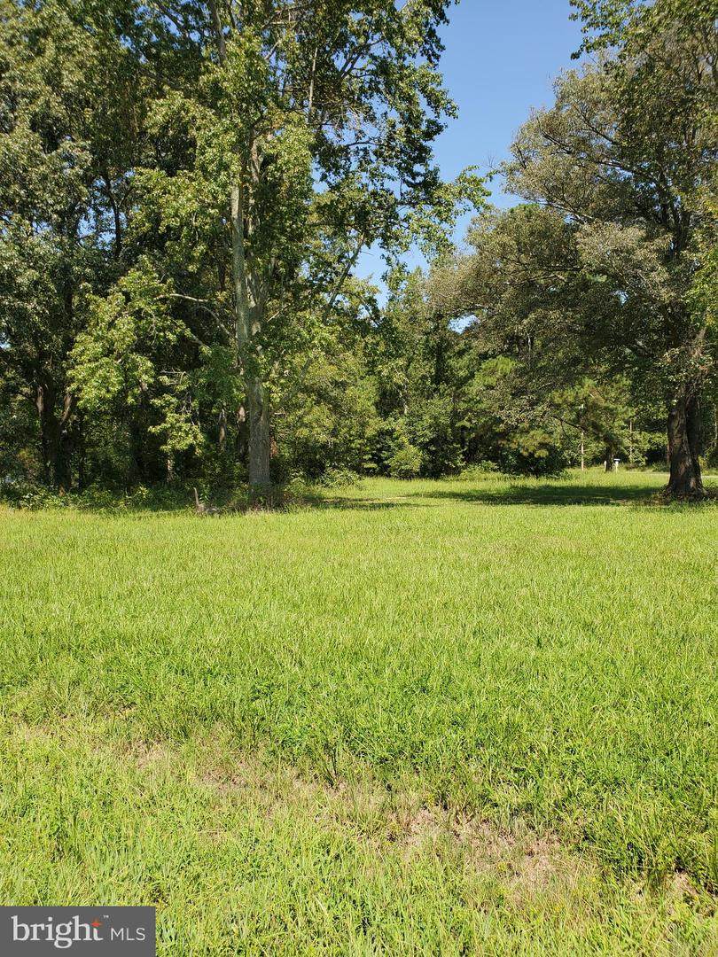Upland - Photo 1