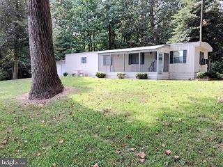 20392 White Birch Lane - Photo 1