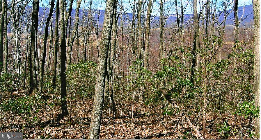 Lot 5 Little Long Mountain Road - Photo 1