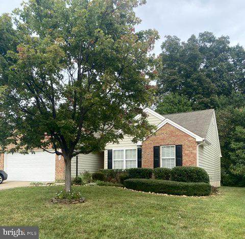 11729 Collinwood Court - Photo 1