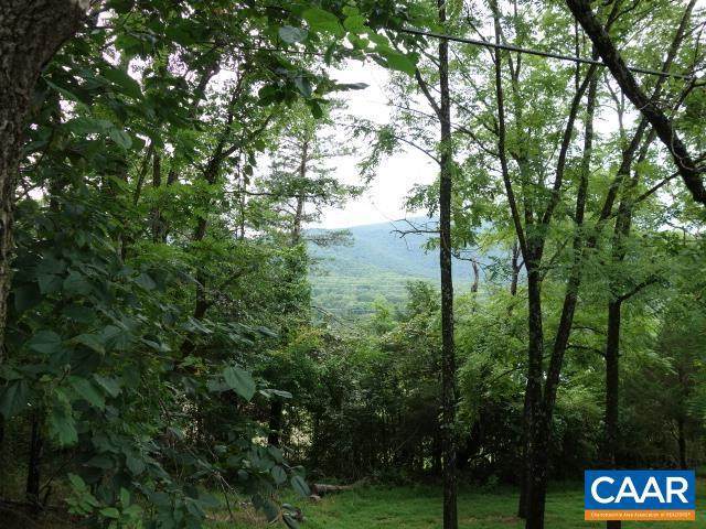 1284 Rockfish Valley Hwy - Photo 1