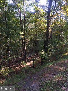 Lot 176 Hogan Drive - Photo 1
