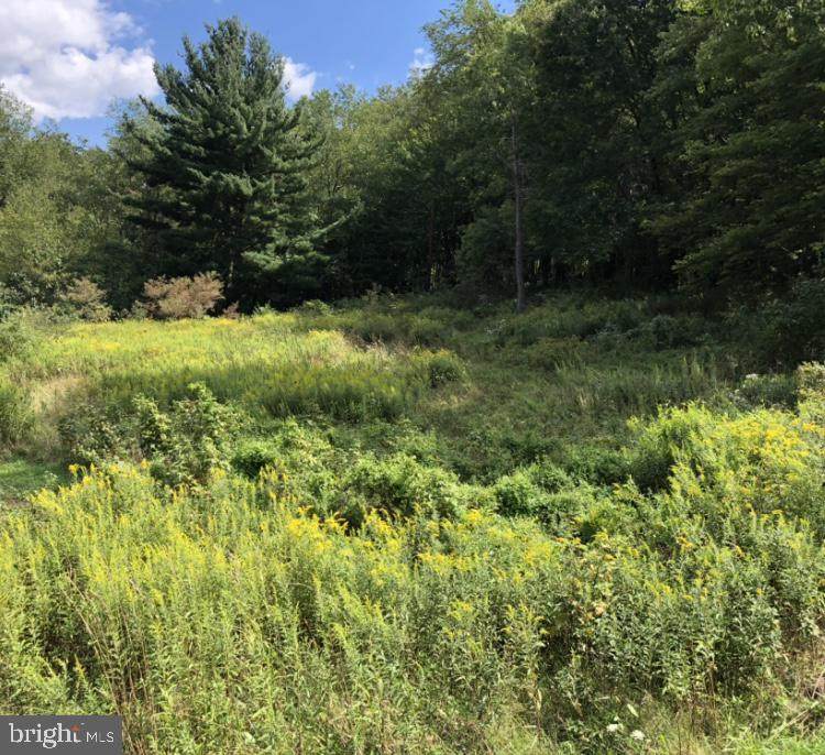 10714 Sines Rd - Photo 1