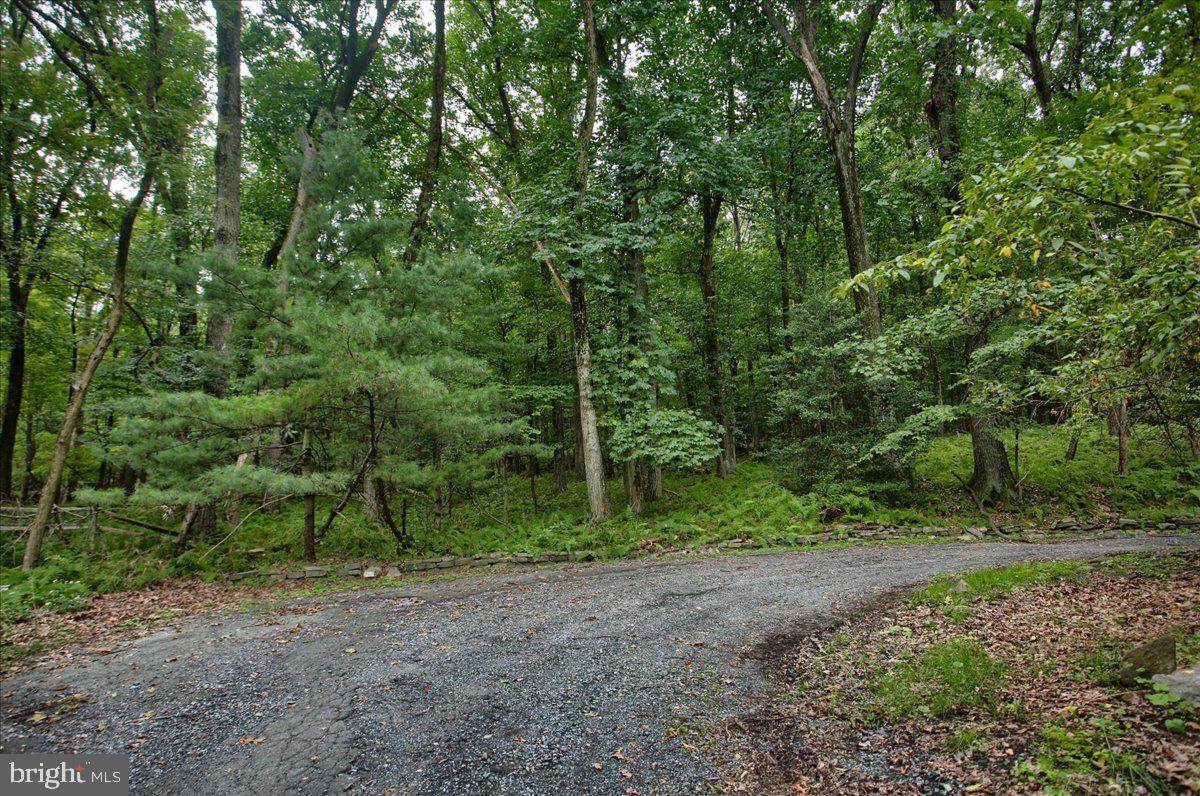 Clark Road - Photo 1