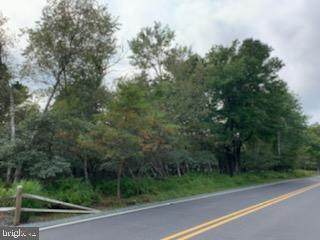 Stony Mountain Road - Photo 1