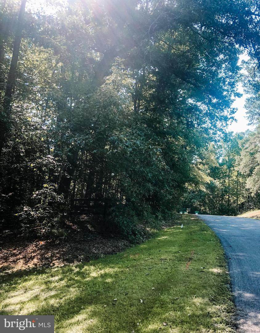 Lacy Lane - Photo 1