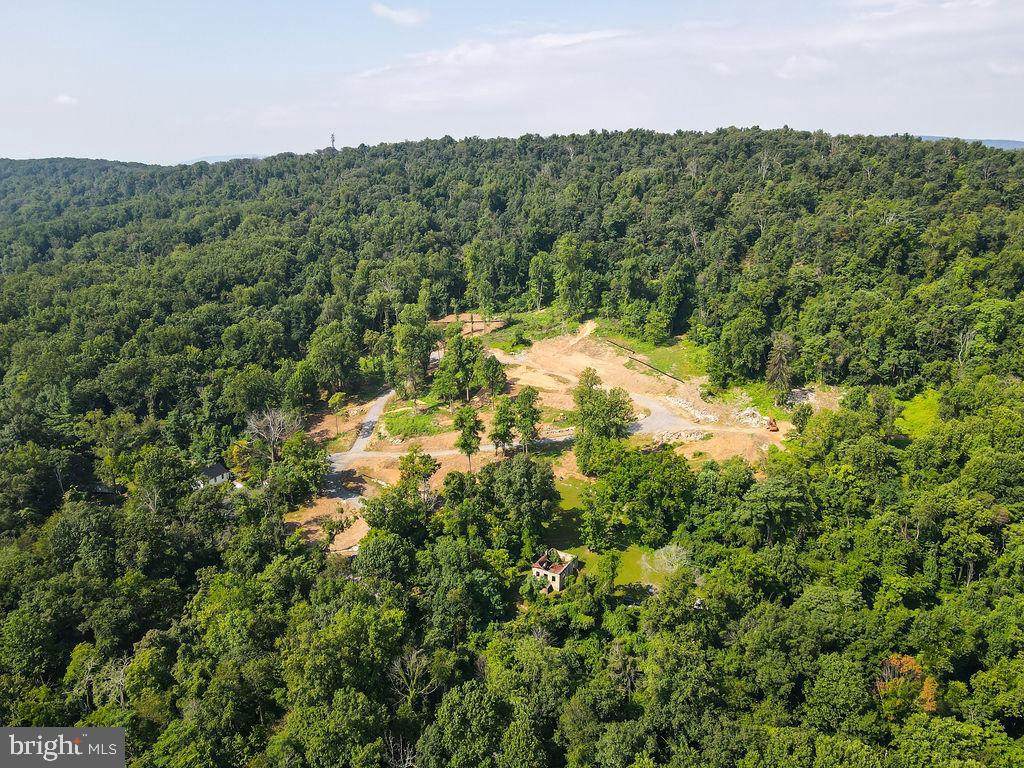 15375 Ashbury Overlook Lane - Photo 1