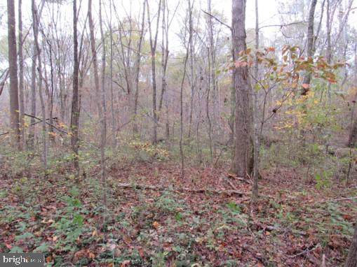 11321 Orange Plank Road - Photo 1