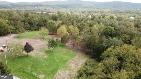 245 Bumble Bee Road - Photo 1