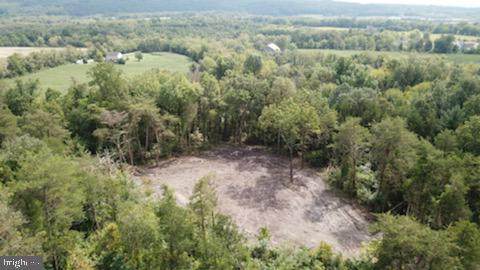 245 Bumble Bee Road - Photo 1