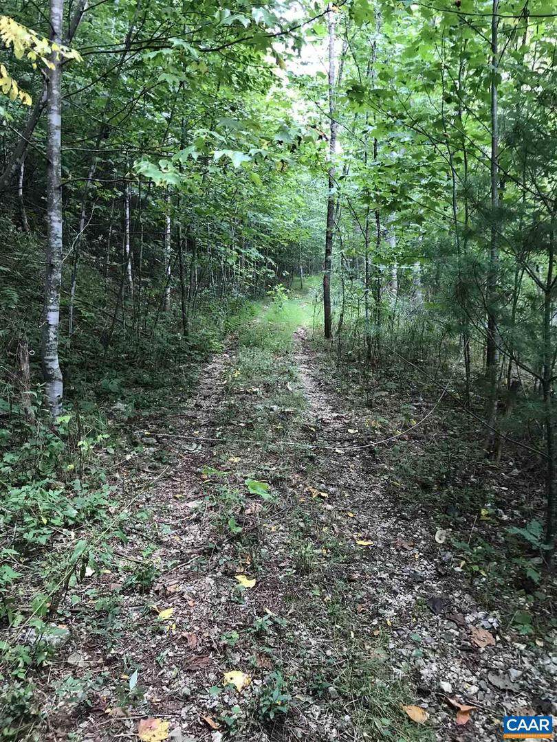 13620 Crabtree Falls Hwy - Photo 1