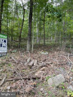 Lot # 3 Off Cordwood Drive And Shickle Lane - Photo 1