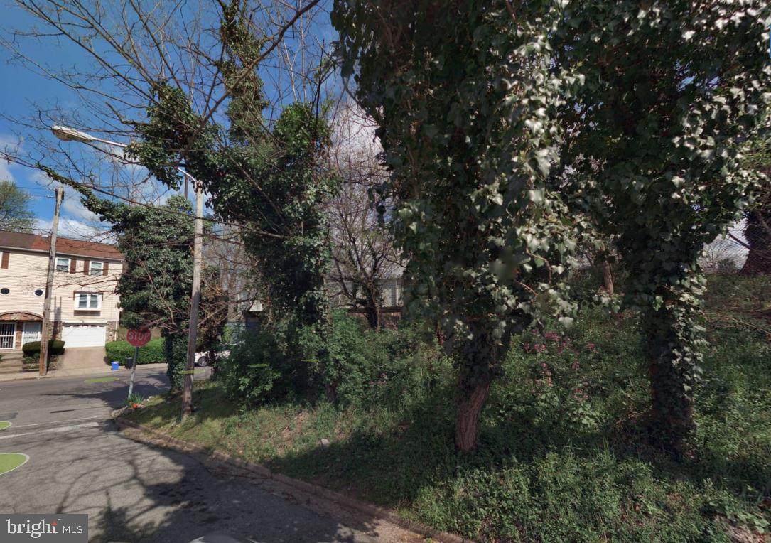 420 Gorgas Lane - Photo 1